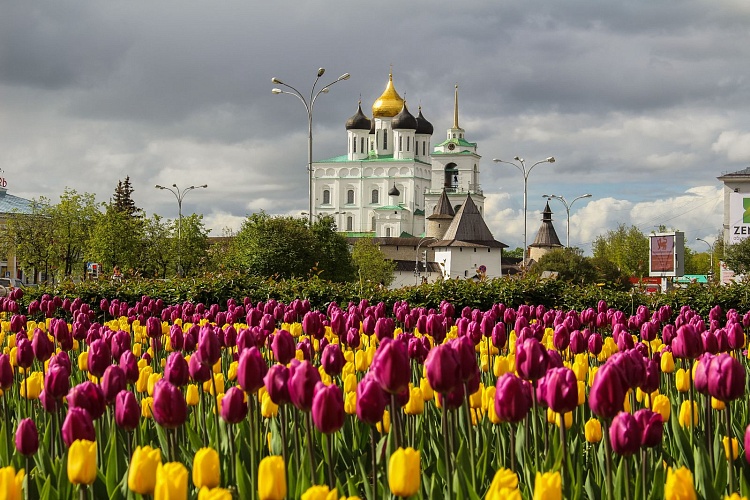 Пешеходная экскурсия по городу и Кремлю 